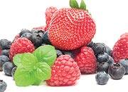 Berries Protect the Brain in Several Ways