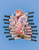 Dangers of Relying on the Media for Health Information