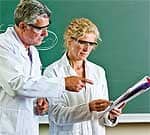 Arnica montana: Nature’s Preferred Healing Agent