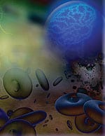 Cardiovascular Defense