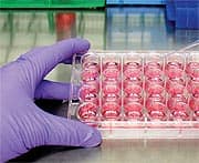 A New “Age-Reversal” Initiative