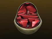 Interview with Dr. Bruce Ames about Reverse Aging Life Extension