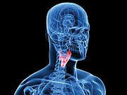 The Liver–Kidney Connection to Bone