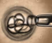 Stem cell manipulation