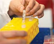 Leukemia Patients with Insufficient Vitamin D Levels Face Earlier Mortality Risk