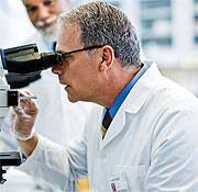 Greater Flavonoid Intake Linked with Lower Cancer Risk