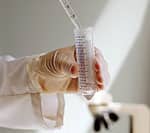 Branched-chain Amino Acids Extend Life Span in Animal Model