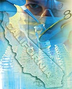 Novel Citrus Extract Blocks Deadly Cancer Cell Signaling