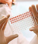 Blueberry Extract Improves Pancreatic Cell Function