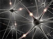 Calm Yourself: Glutamate and GABA