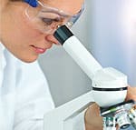 Basis for Broccoli’s Cancer-Fighting Ability Revealed