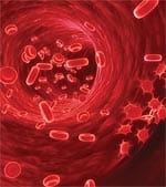 Branched Chain Amino Acids and Calorie Restriction