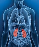 Oxidant Stress, Hypertension, and Angiotensin