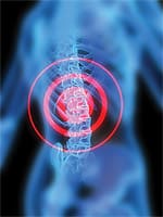 Hyaluronic Acid Blocks Cartilage Destruction