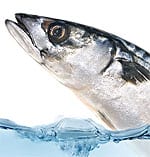 Omega-3s: Vital Protection for Kidney and Liver Function