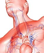 Wheat: Super Carbohydrate