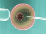 BioTime Rejuvenates Aging Cells With iPS Technology