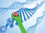 What the Future Holds