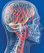 Boswellia Offers Boost for Prostate Health