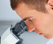 Combating Excess Glucose with Chlorogenic Acid