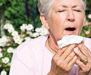 BB536® Strain of Bifidobacteria Confers Special Benefits