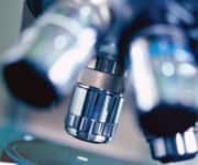 Increased Vitamin D Intake Linked With Lower Stroke Risk Over 34-Years Of Follow-Up