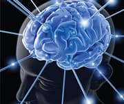 Nutrient Formula Improves Cognitive Function in Older Humans