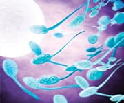 Antioxidant Nutrient Combinations Boost Sperm Quality, Especially in Older Men