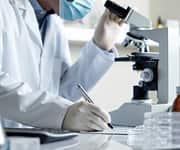 High Glucose Destroys Insulin-producing Cells