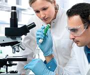 Understanding Gluconeogenesis