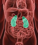 Kidney Defense