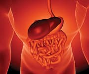 Restoring Youthful Liver Defense Mechanisms