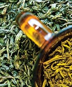 SIDEBAR IMAGE ALT TEXT