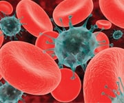 Mayo Clinic Study finds GLA Inhibits Pancreatic Cancer