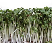 Protect Your Skin from UV Damage 