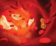 Carnosine Provides Broad-Spectrum Defense Against Aging