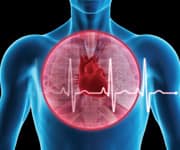 Pomegranate’s Powerful Cardioprotective Effects