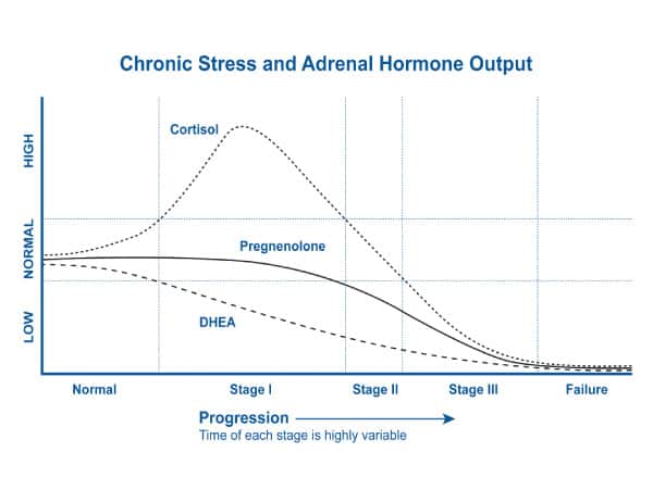 Chronic Stress and Adrenal Hormone Output