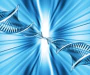 Aging Factor 3: Methylation