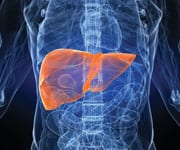 How Testosterone Affects HDL