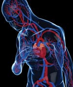 Testosterone for Chronic Heart Failure
