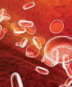 Targeting Hypertension’s Primary Cause