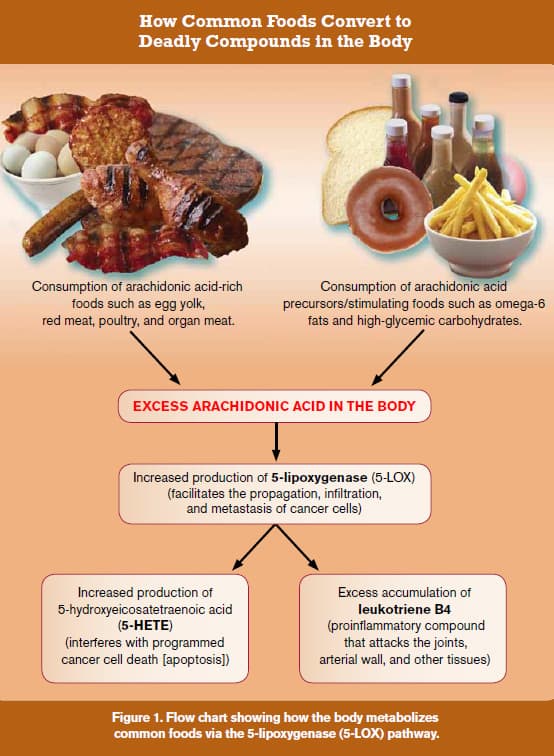 Eating Your Way to Prostate Cancer