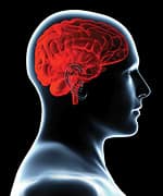 Greater Intake of Calcium, Vitamins Associated with Lower Colorectal Cancer Risk