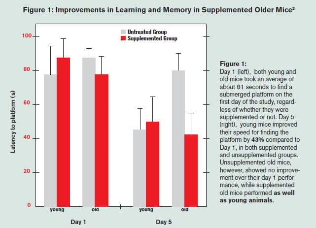 Figure 1: Improvements in Learning and Memory in Supplemented Older Mice
