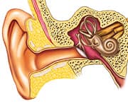 Preserving Your Hearing