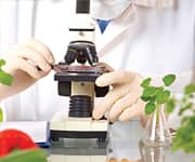 What You Need to Know