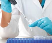 PQQ and Gene Expression