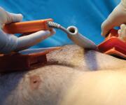 Unconscionable Delay 