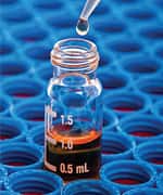 Reishi: Restoring and Regulating Immune Balance  